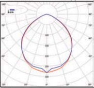  ������ ���� �����